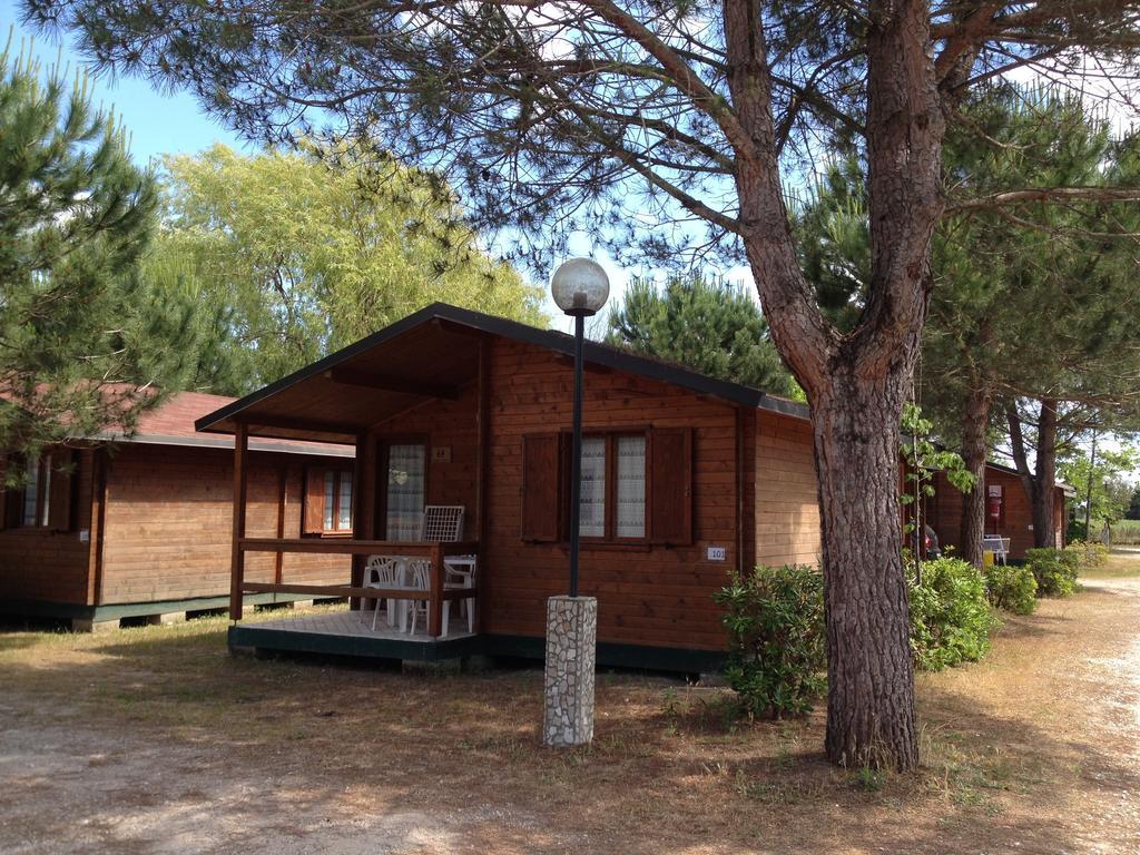 Camping Paradiso Viareggio Oda fotoğraf