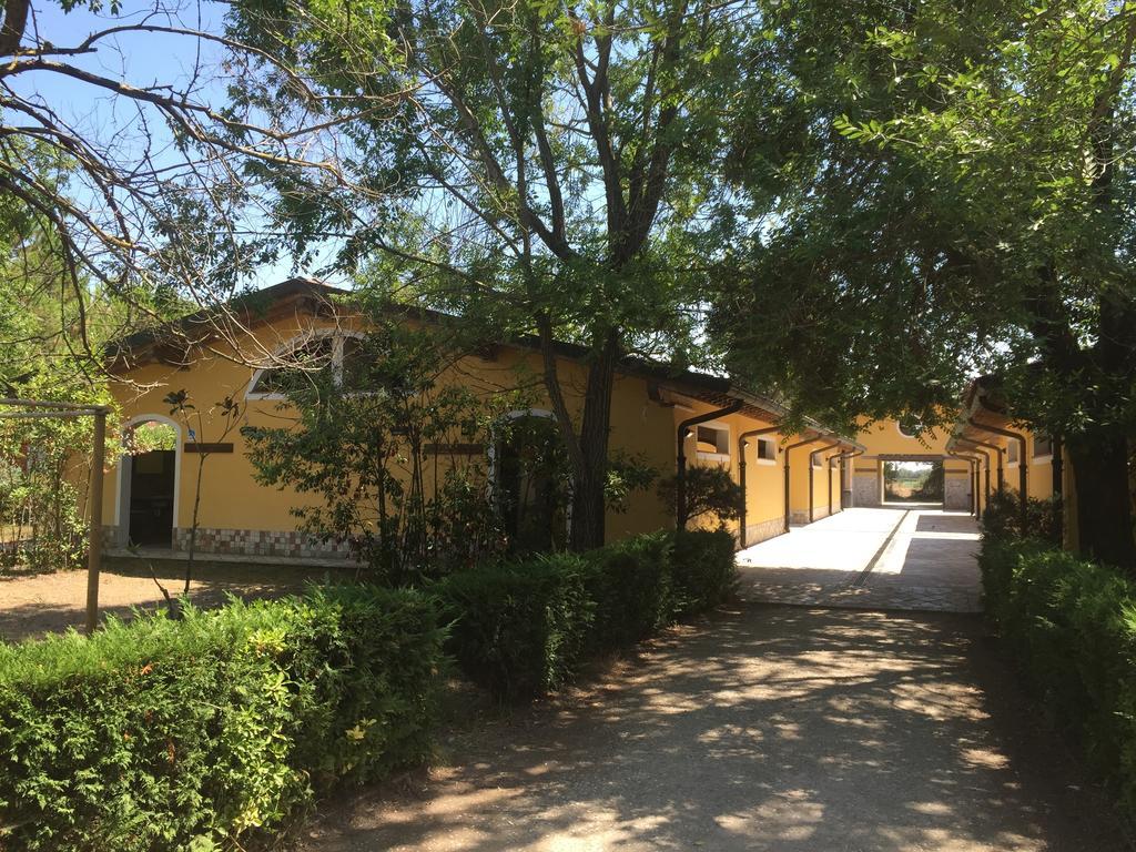 Camping Paradiso Viareggio Dış mekan fotoğraf