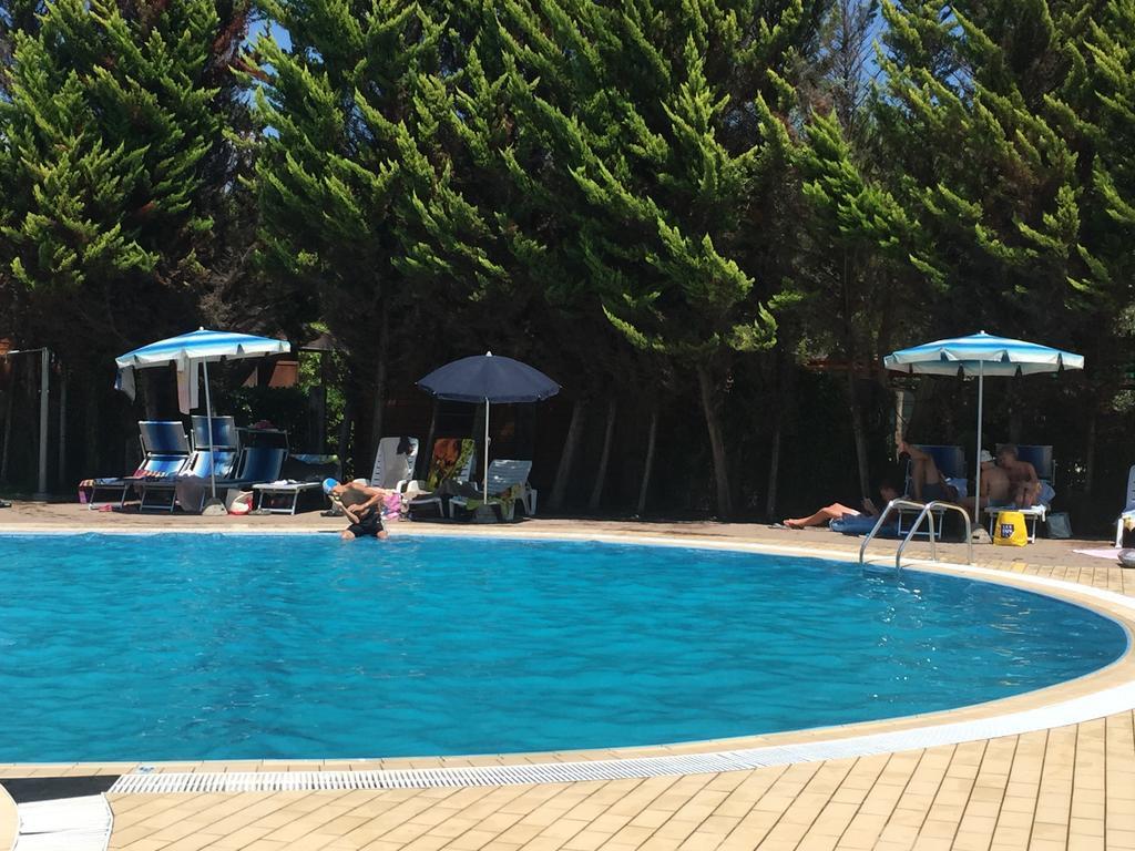 Camping Paradiso Viareggio Dış mekan fotoğraf