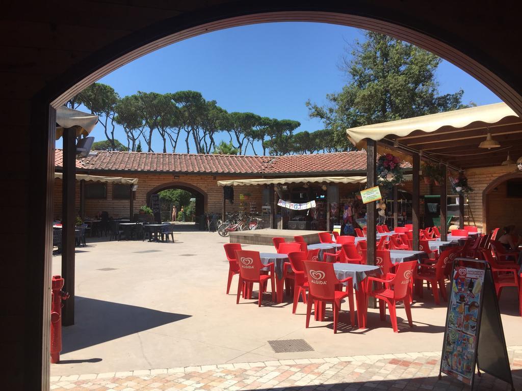 Camping Paradiso Viareggio Dış mekan fotoğraf
