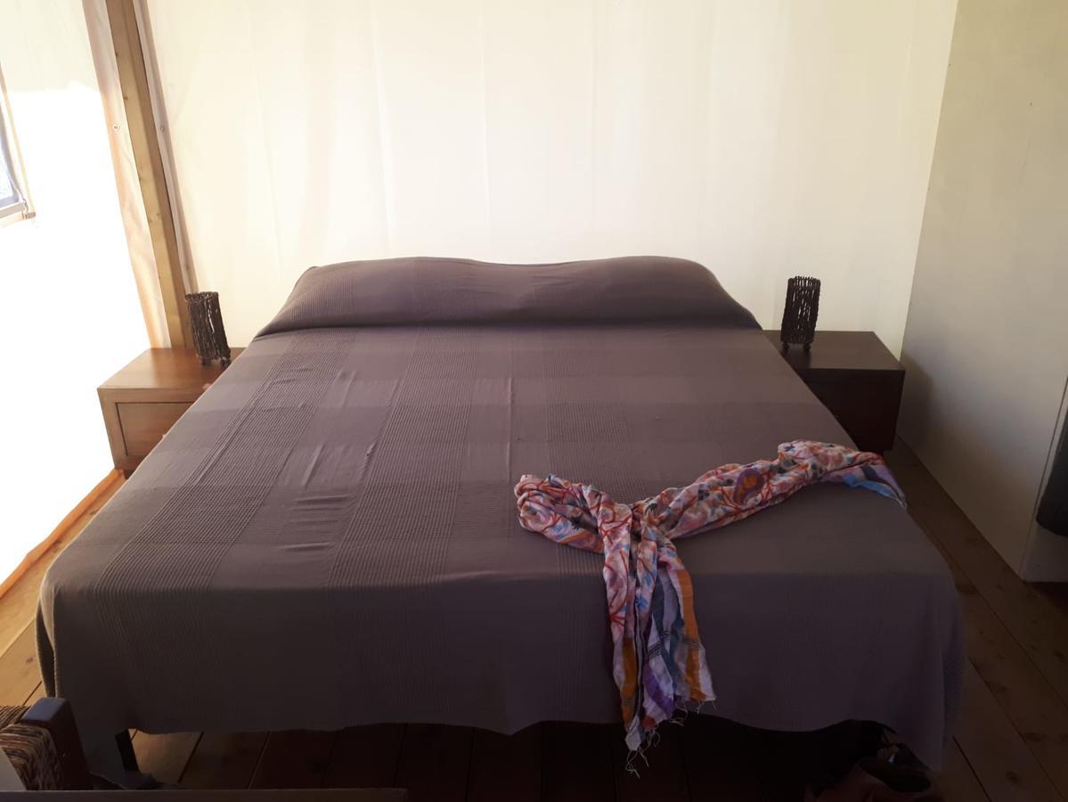 Camping Paradiso Viareggio Dış mekan fotoğraf